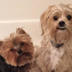 Meet your Posher, Tammy